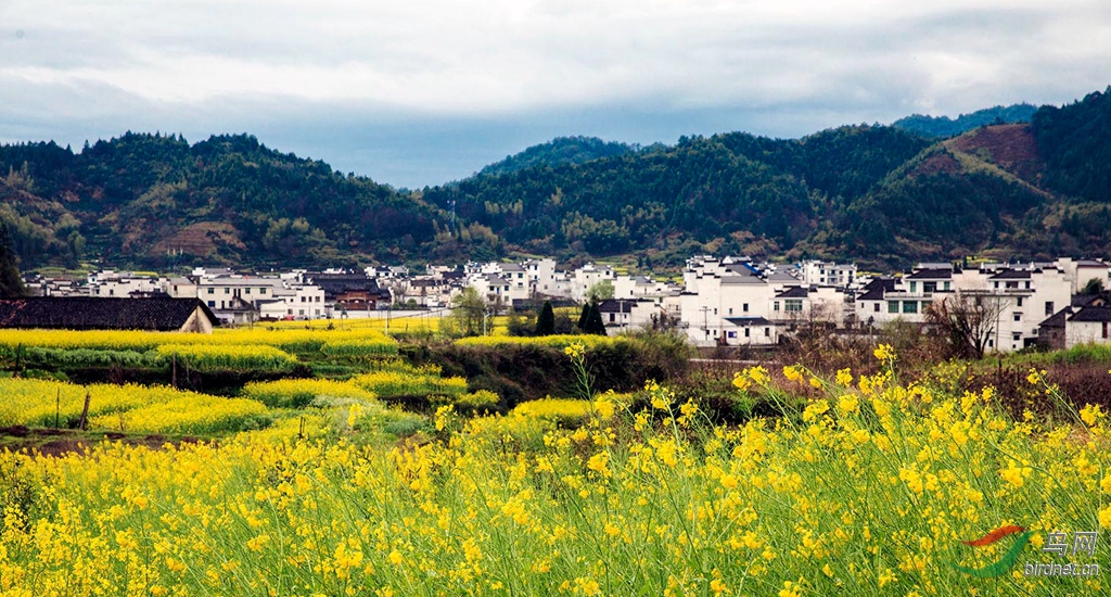 916A7214  02_����.jpg