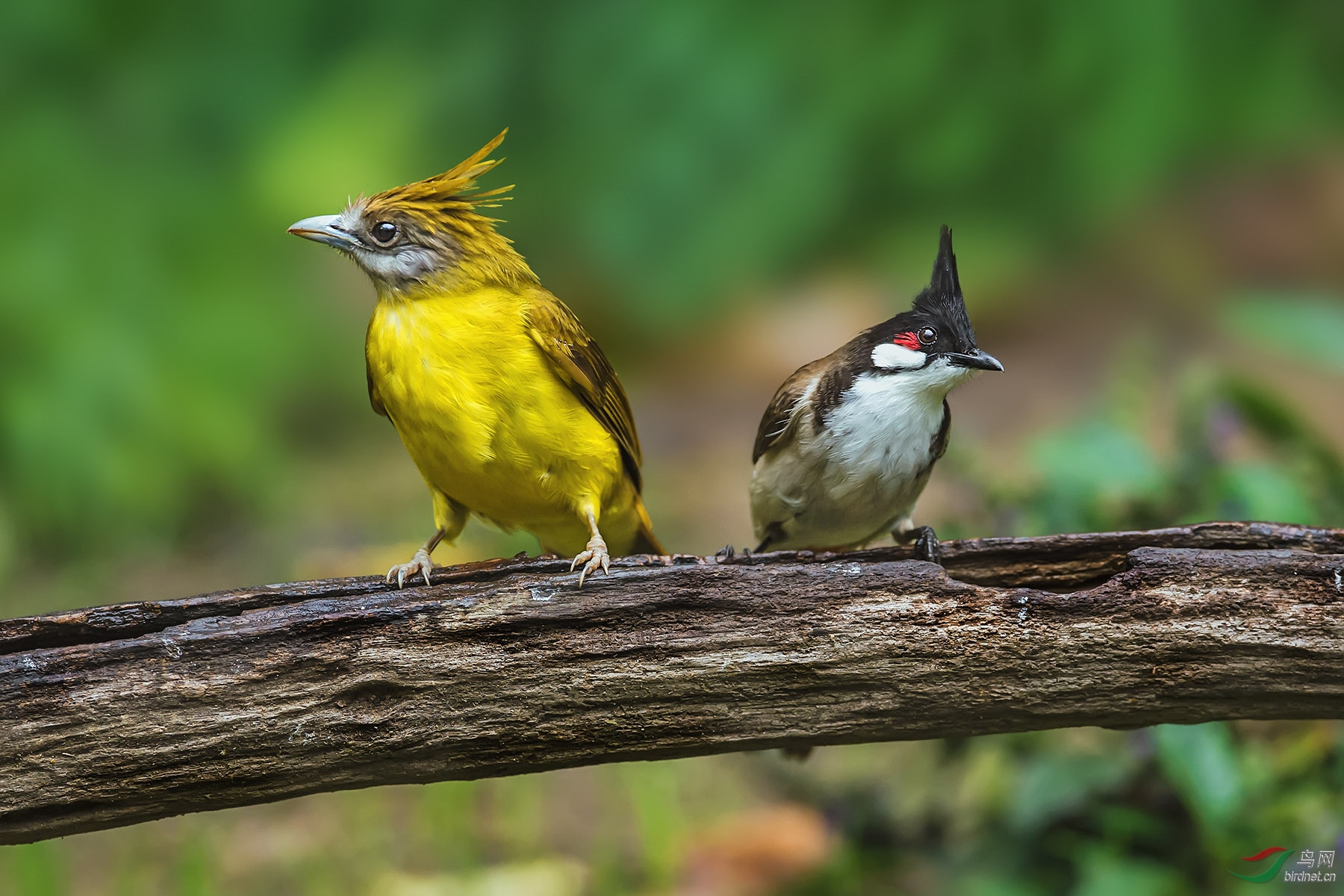 ˭������˭