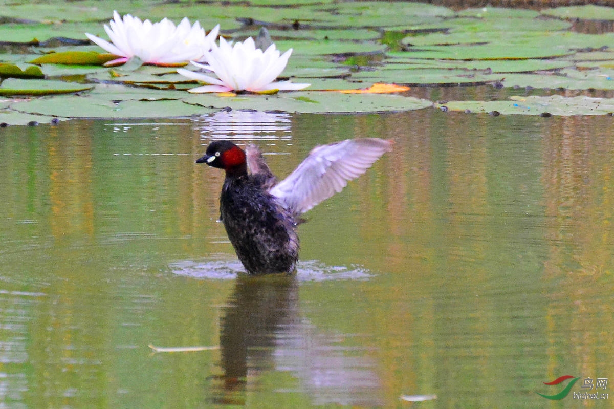 DSC_3309.JPG