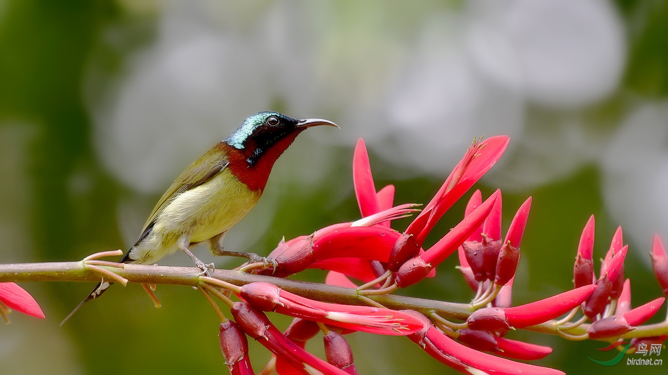 _DSC3146 - ����.JPG