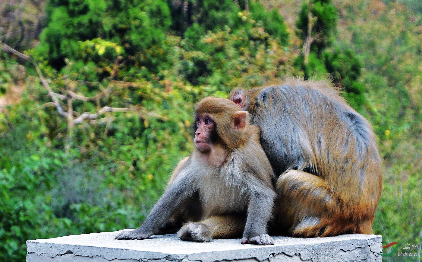 DSC_0444.JPG