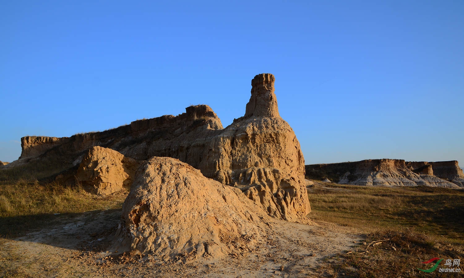 DSC_0535.JPG