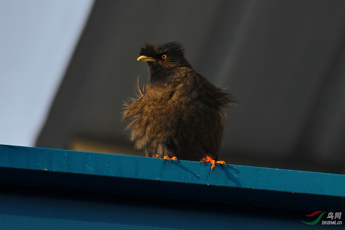 2b.jpg