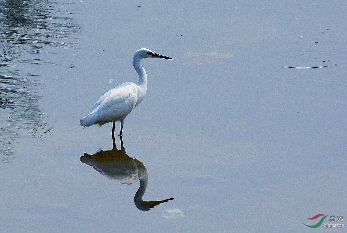 DSC_7245.JPG