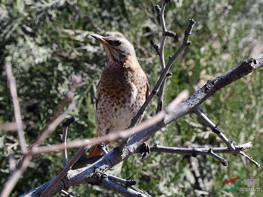 D50_2970.jpg