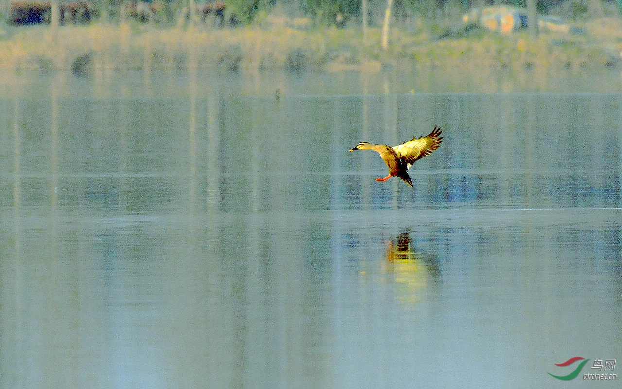 DSC_8131.JPG