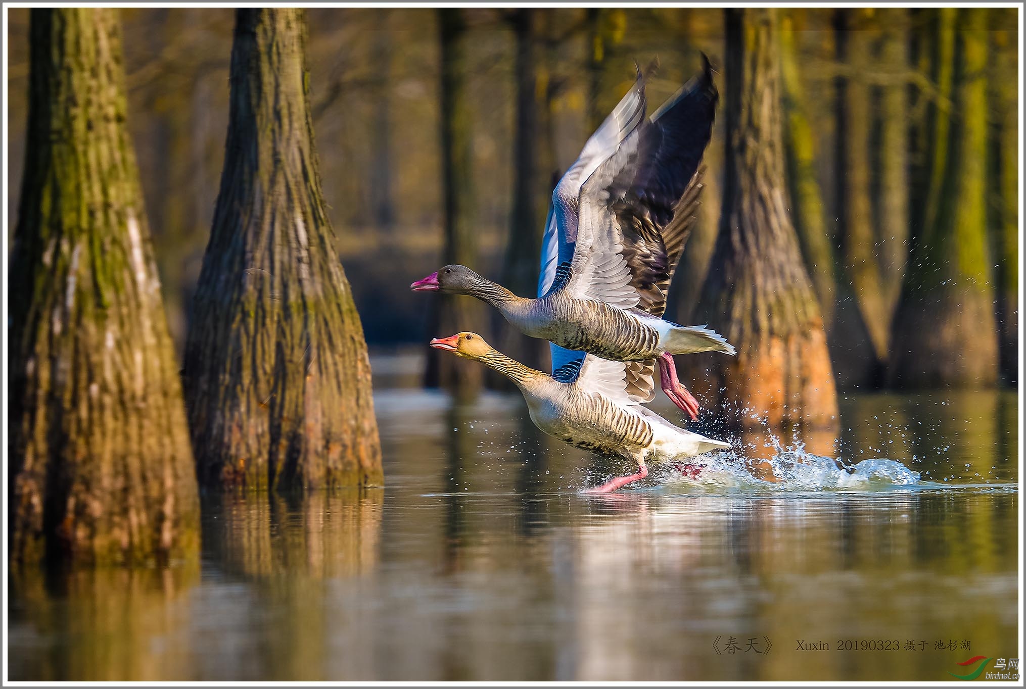 ��_XUX0086��Ϊ���ܶ���-1 2000.jpg