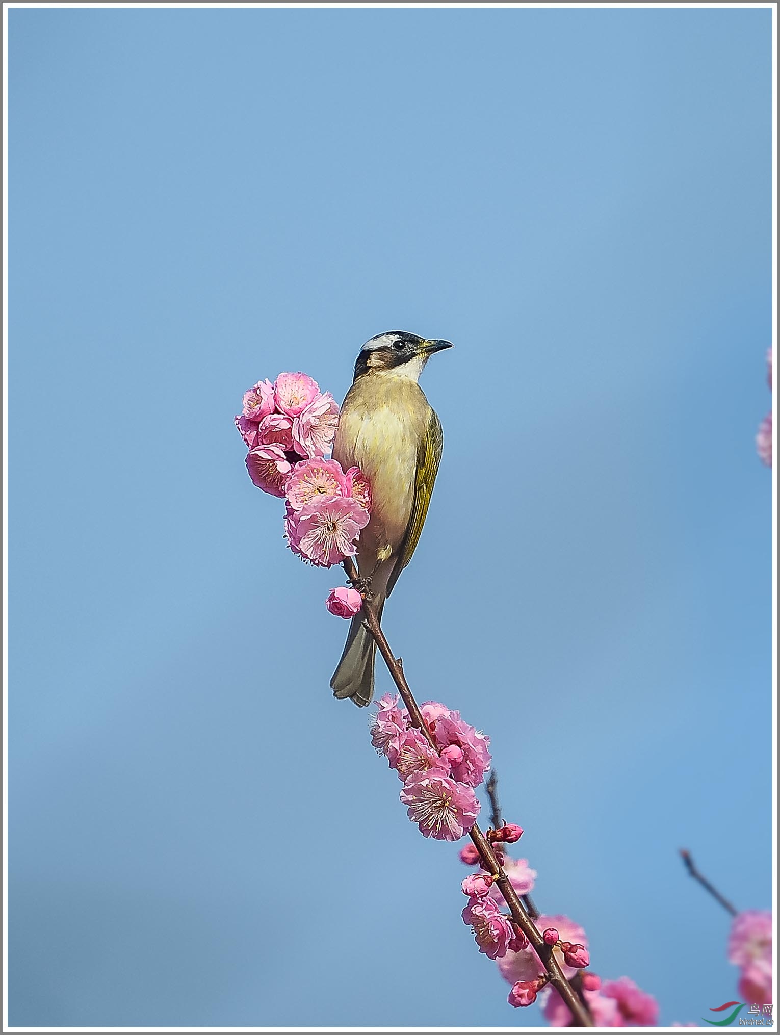 ��_XUX8741_01��Ϊ���ܶ���-1 2000.jpg