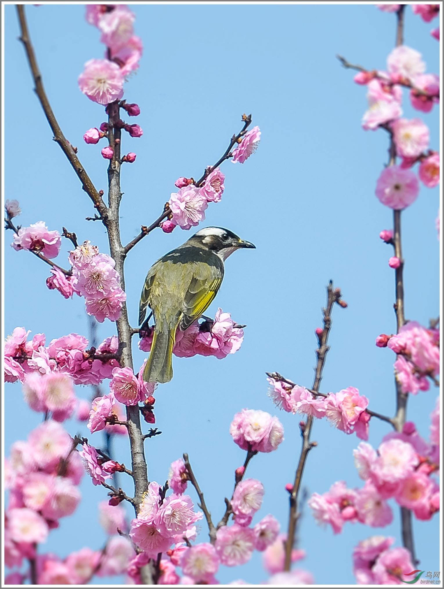 ��_XUX9043��Ϊ���ܶ���-1 2000.jpg