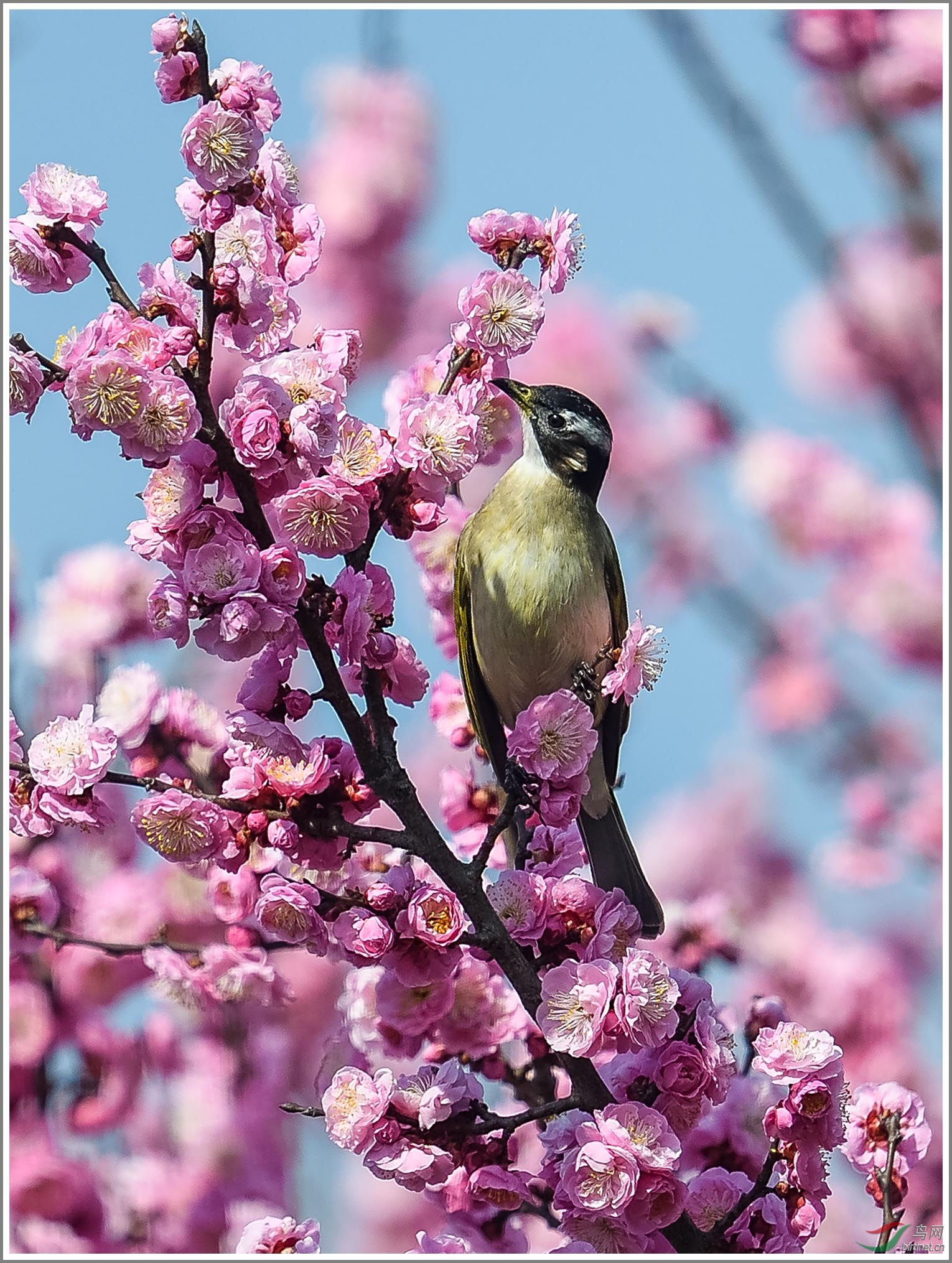 ��_XUX9148��Ϊ���ܶ���-1 2000.jpg