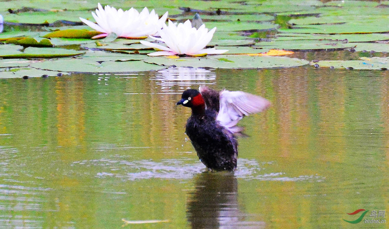 DSC_3311.JPG