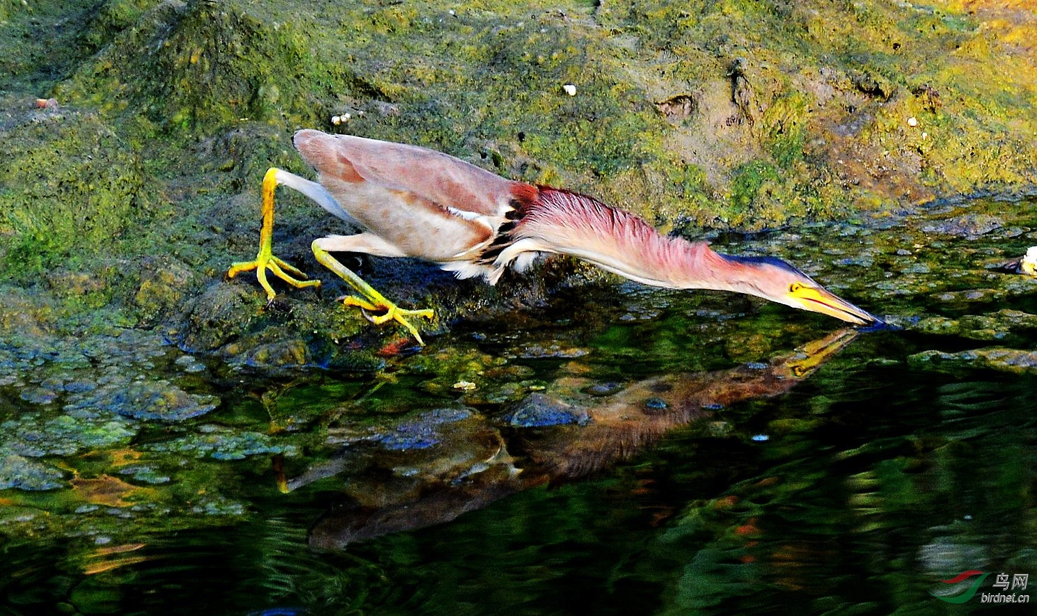 DSC_6542.JPG