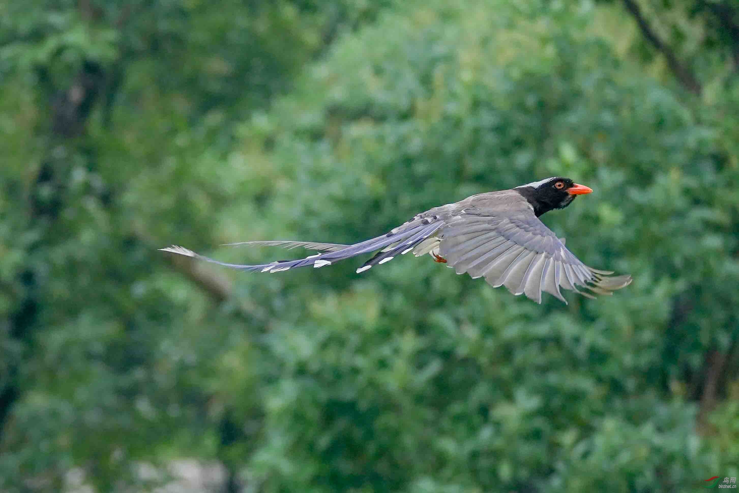 2017-07-01 094904(9).jpg