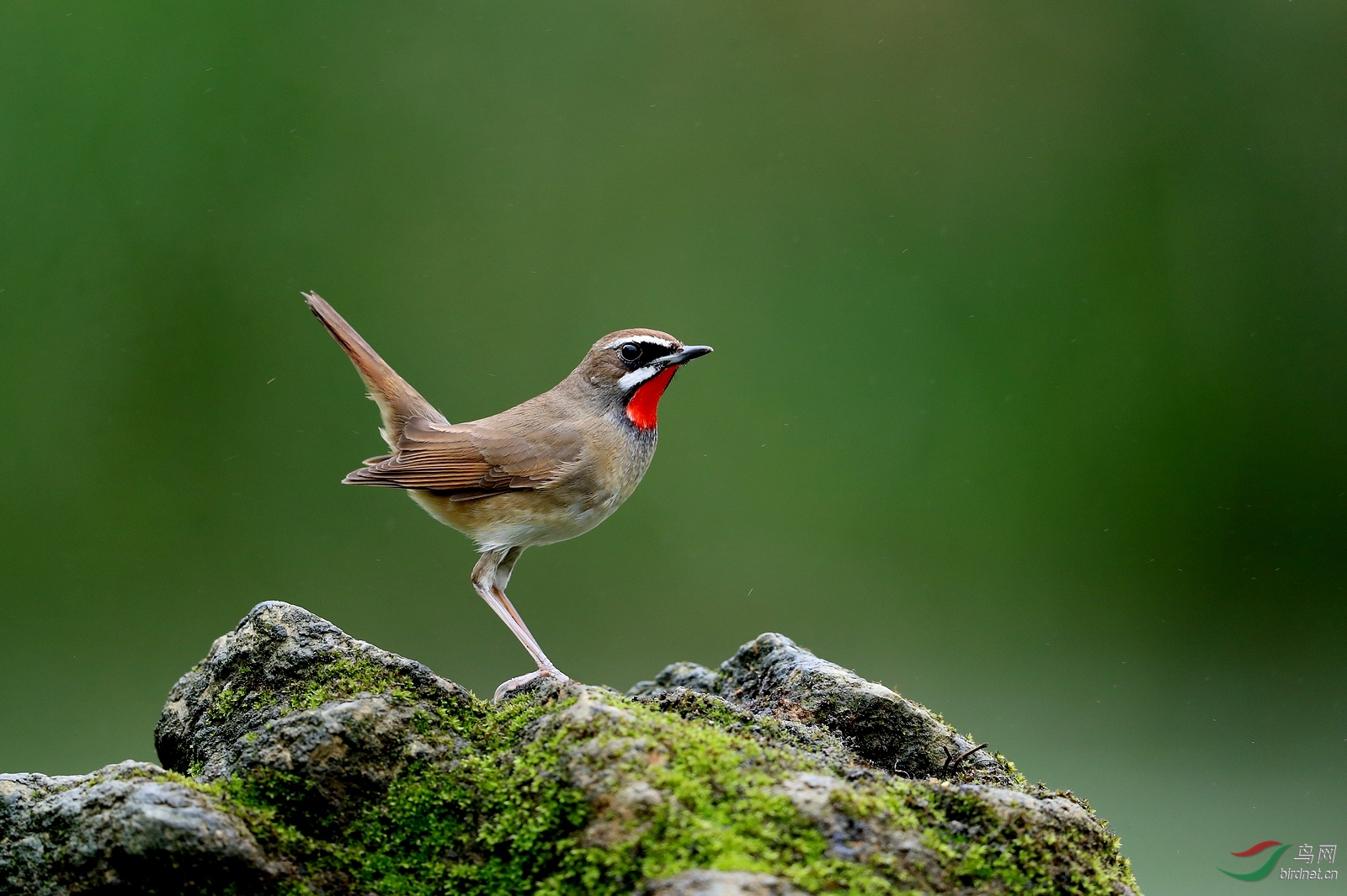 AI0I5367 - ����.JPG