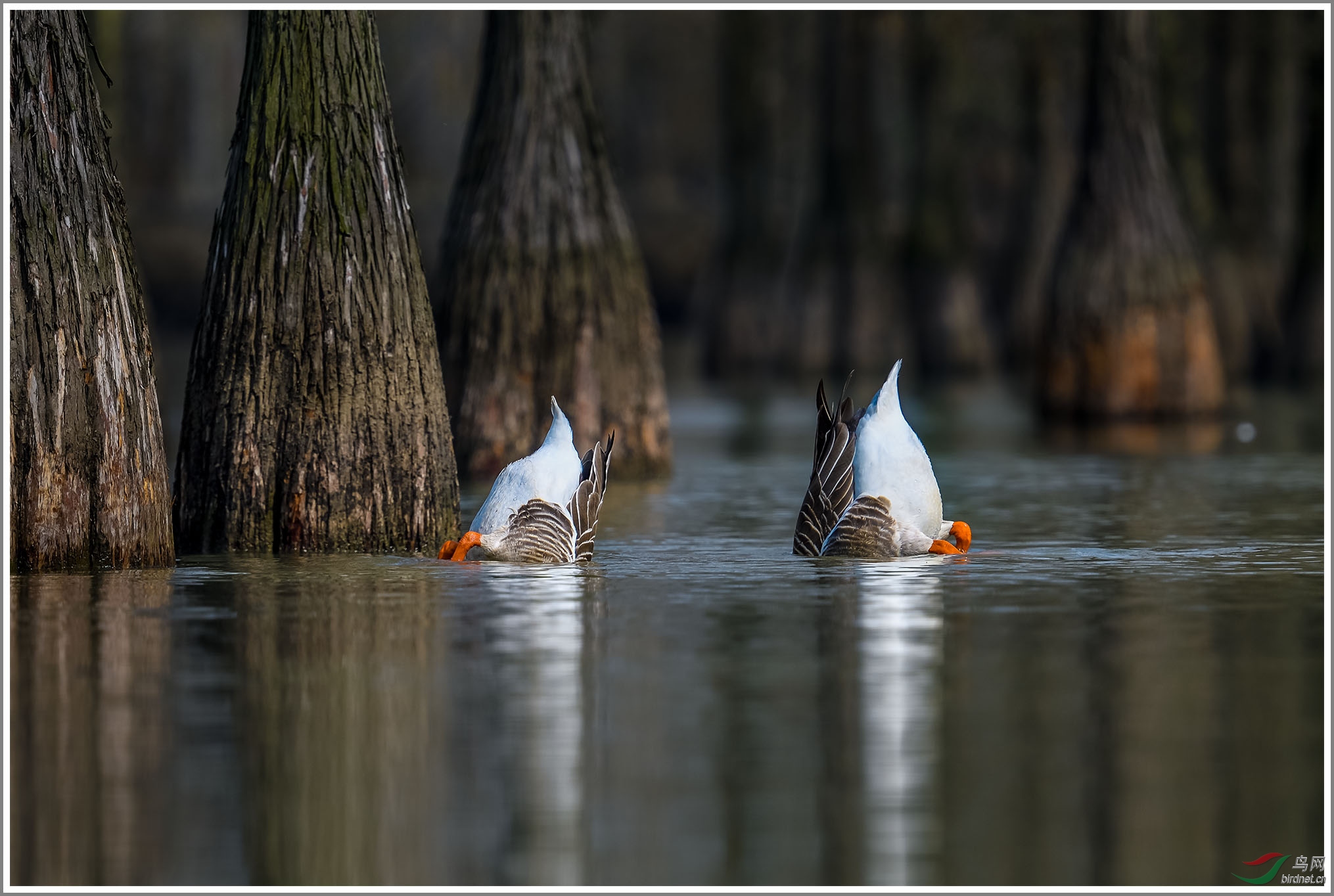 ��_XUX0529��Ϊ���ܶ���-1 2000.jpg