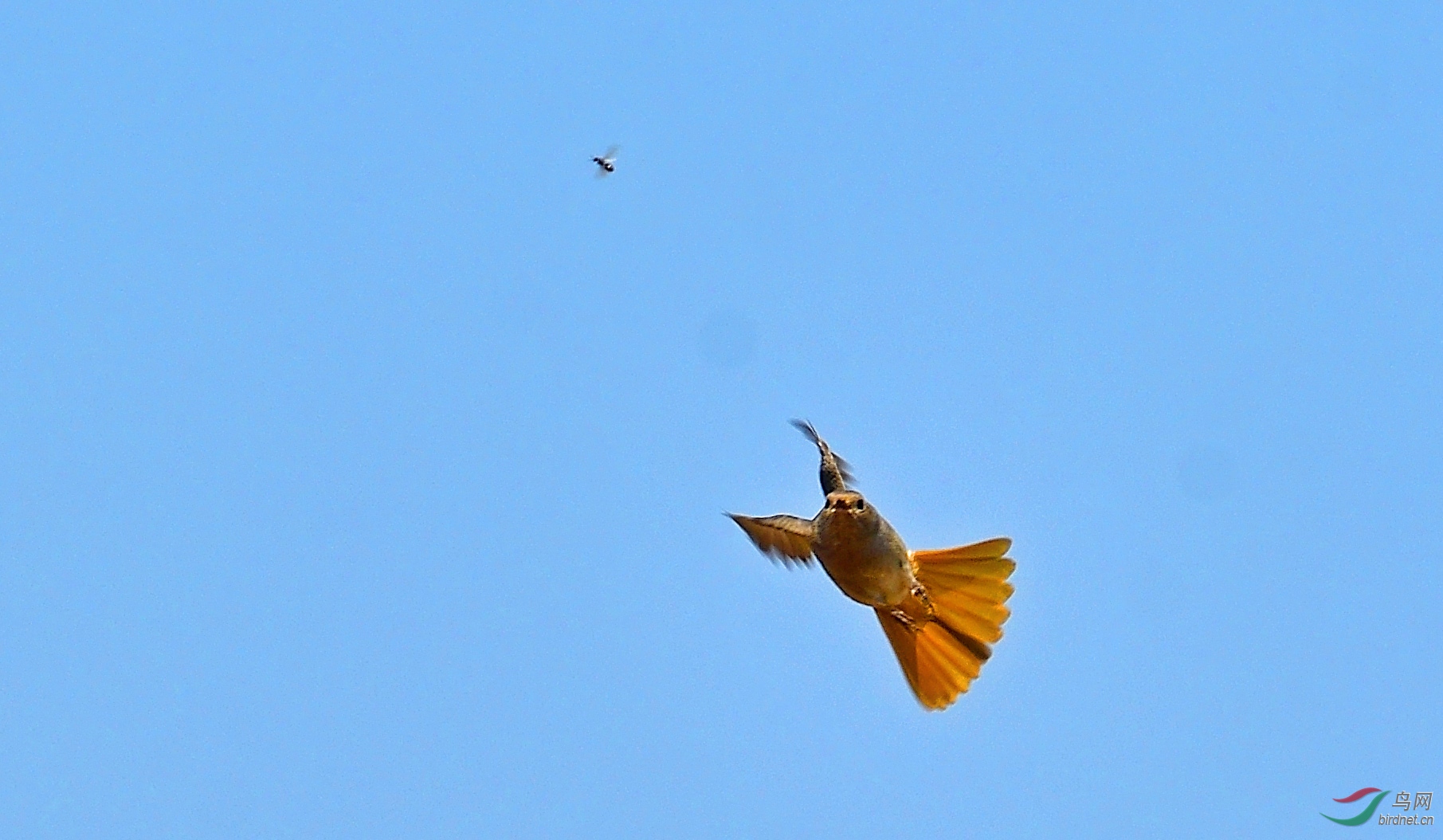 DSC_1664a.jpg