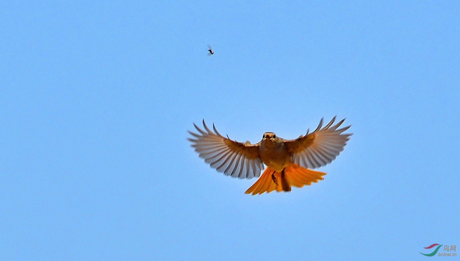 DSC_1665a.jpg