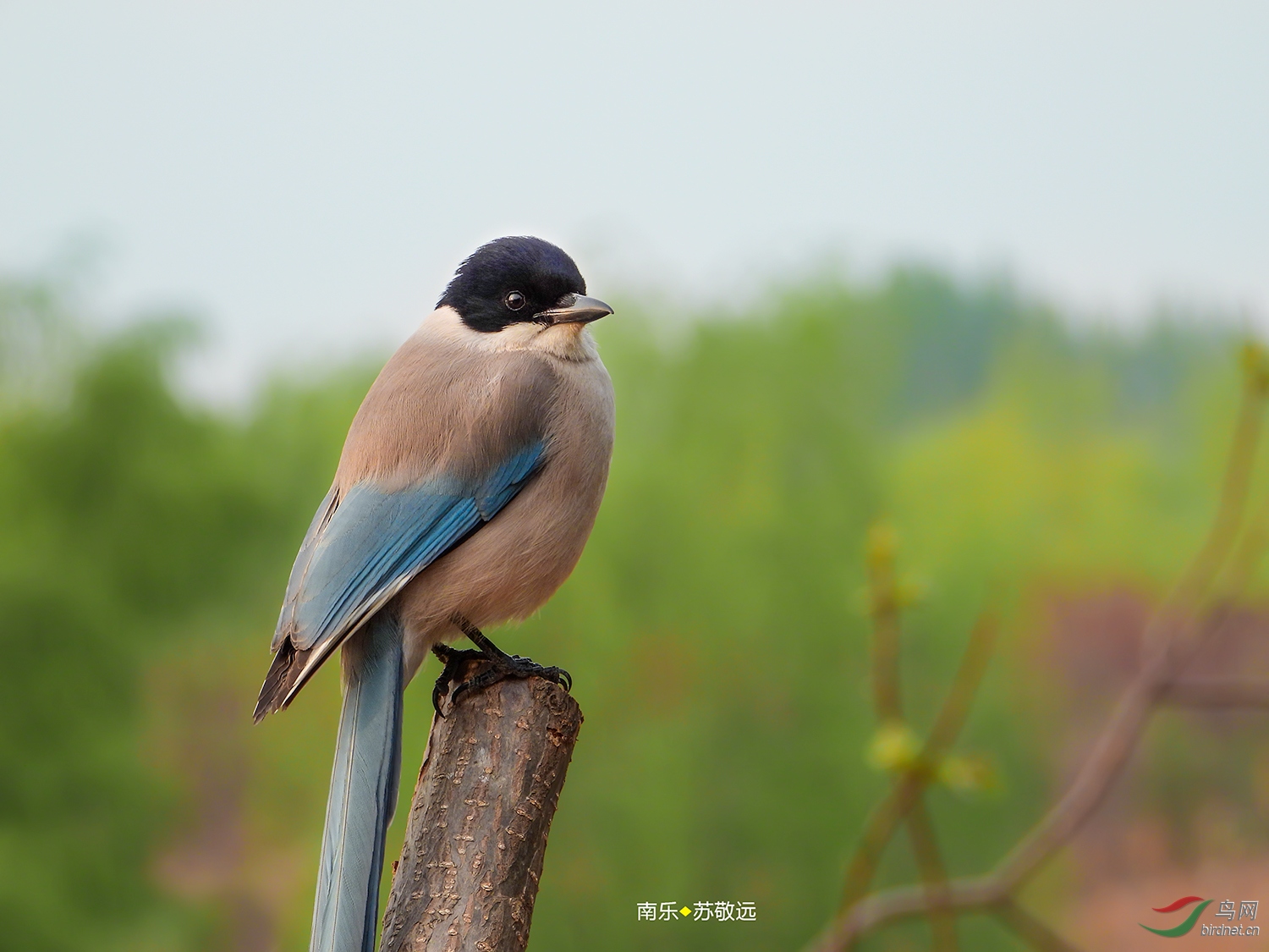DSCN4785СС.jpg