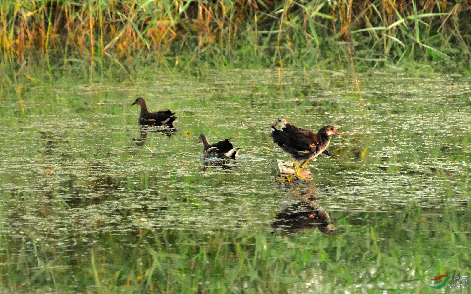 DSC_3877.JPG
