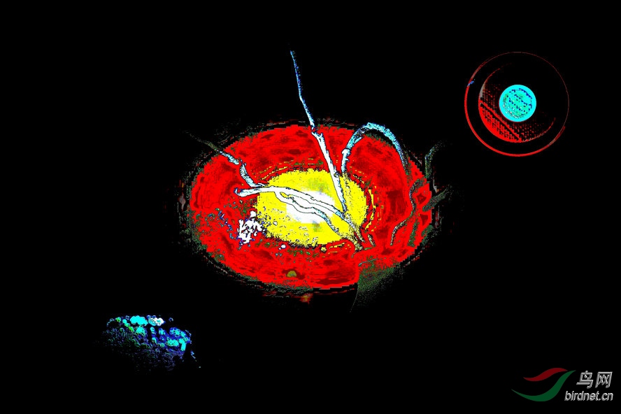 AQ1I9296_����_����.jpg