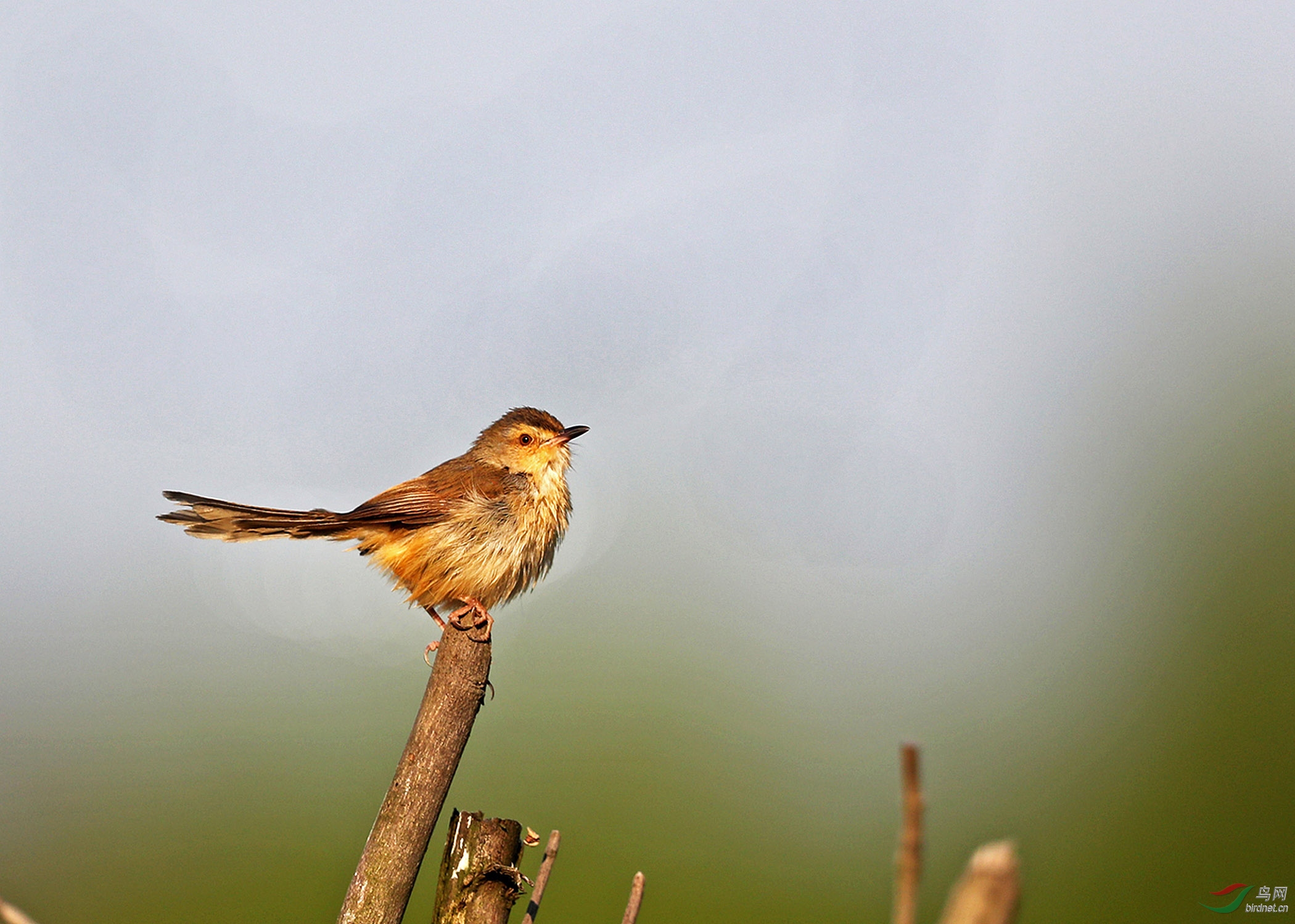 AI8I01-0127 ����.jpg