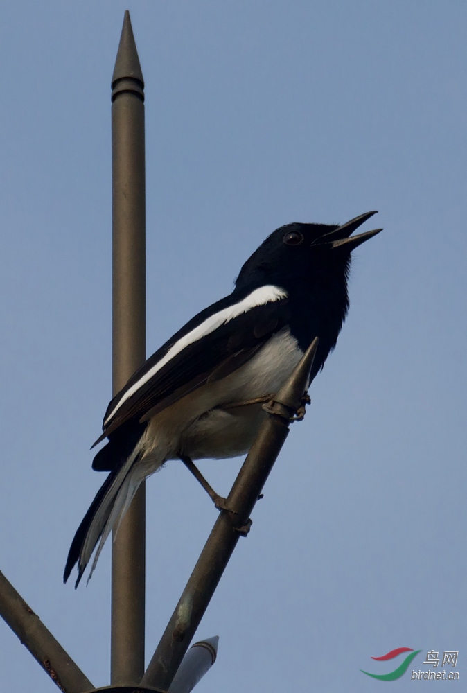 FullSizeRender (3).jpeg