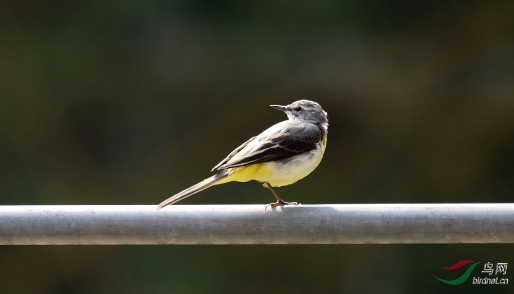 FullSizeRender (18).jpeg