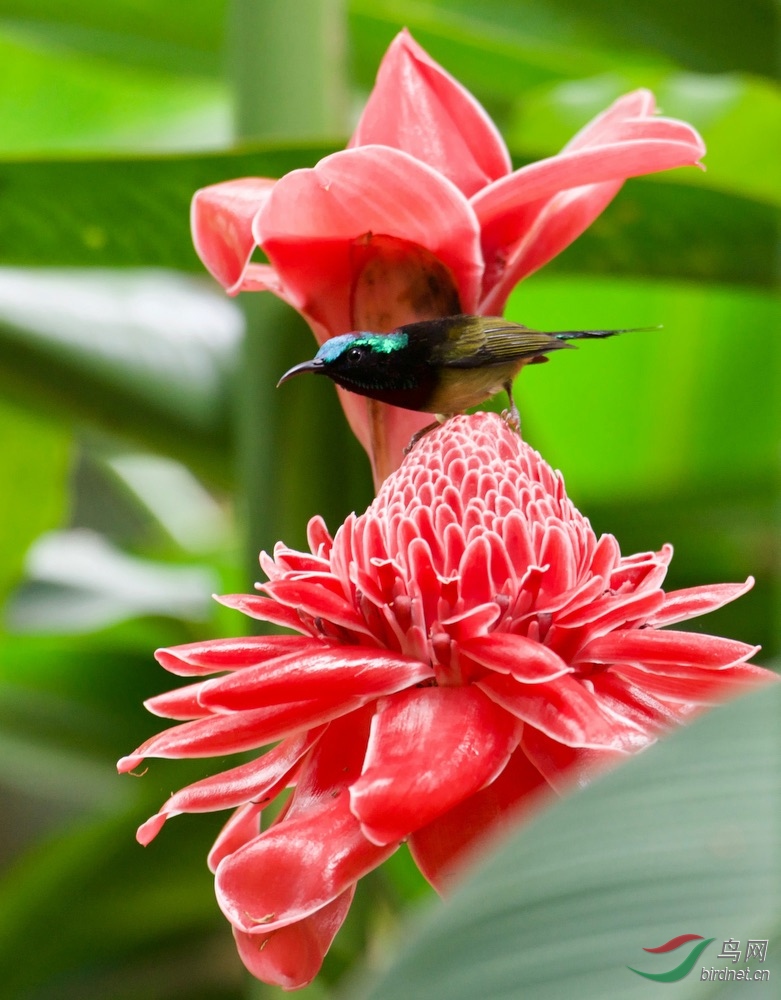 FullSizeRender (26).jpeg