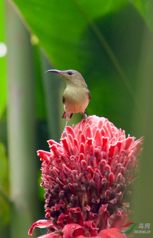 FullSizeRender (17).jpeg