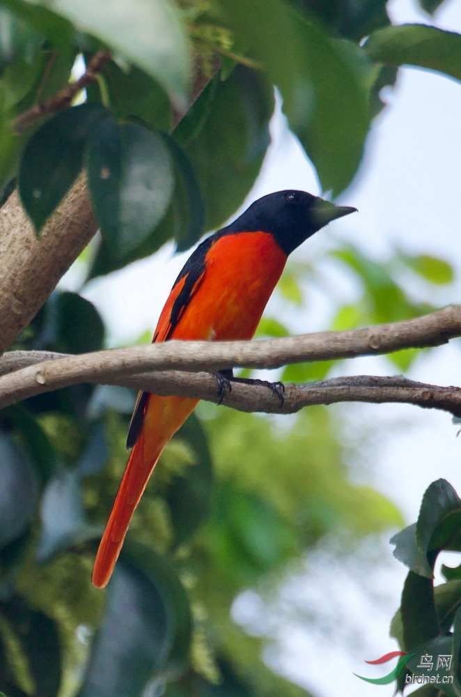 FullSizeRender (15).jpeg