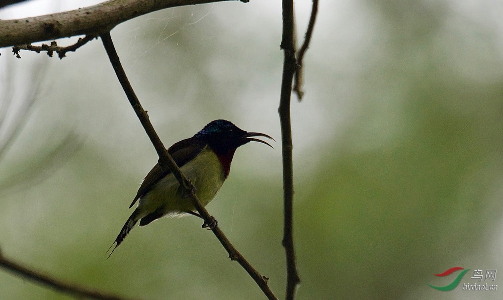 FullSizeRender (22).jpeg