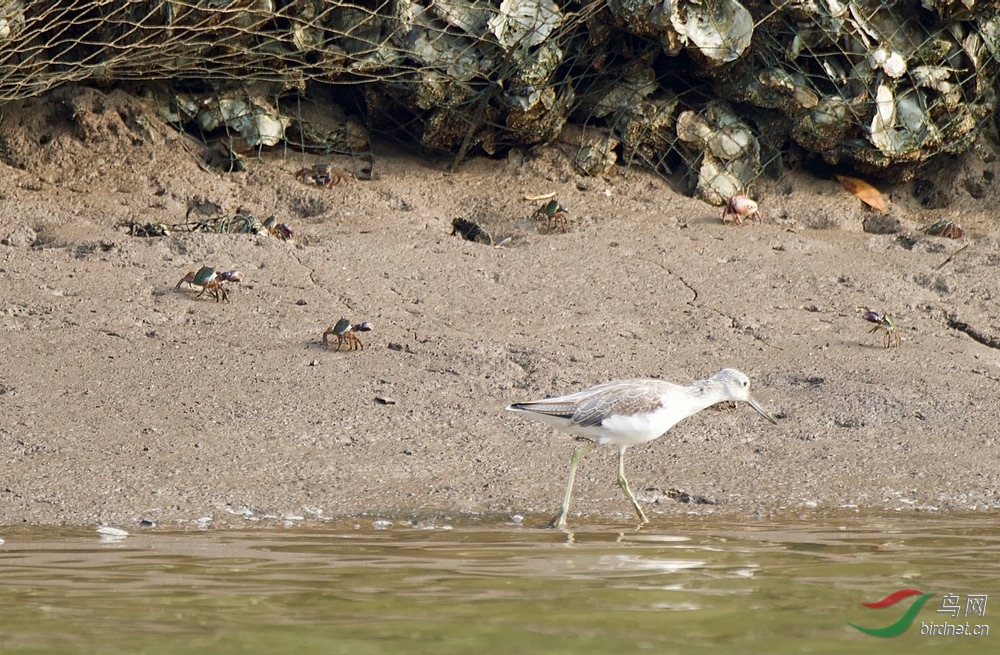 FullSizeRender (14).jpeg