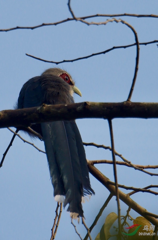 FullSizeRender (23).jpeg