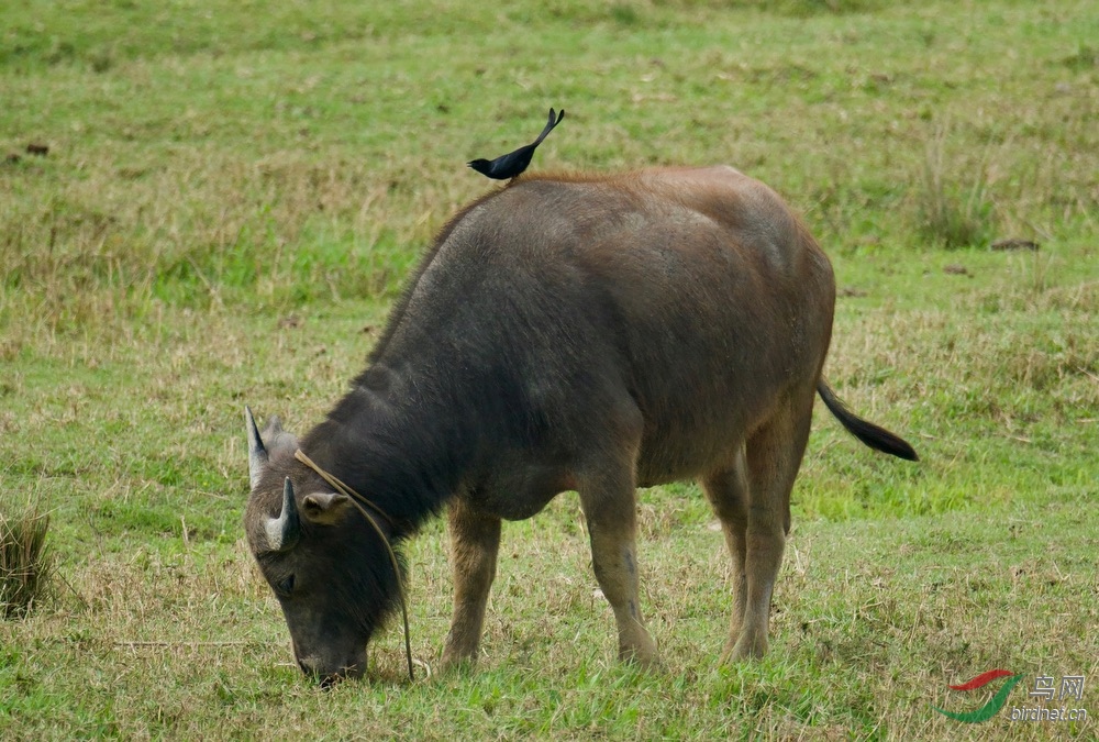 FullSizeRender (25).jpeg