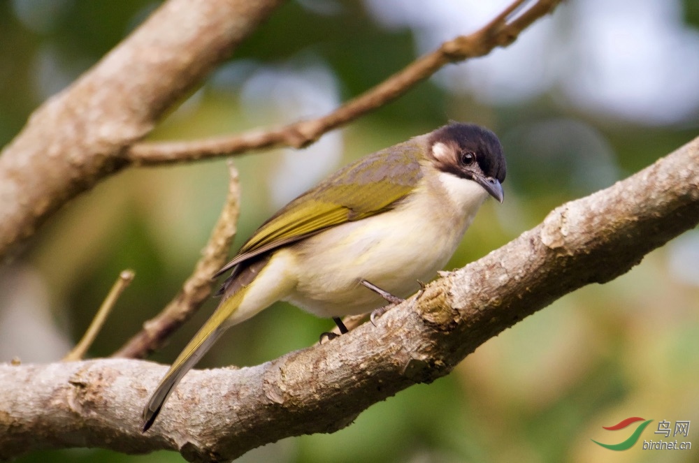 FullSizeRender (9).jpeg