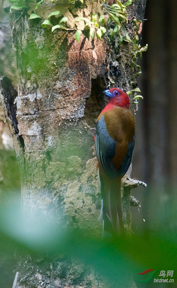 FullSizeRender (4).jpeg