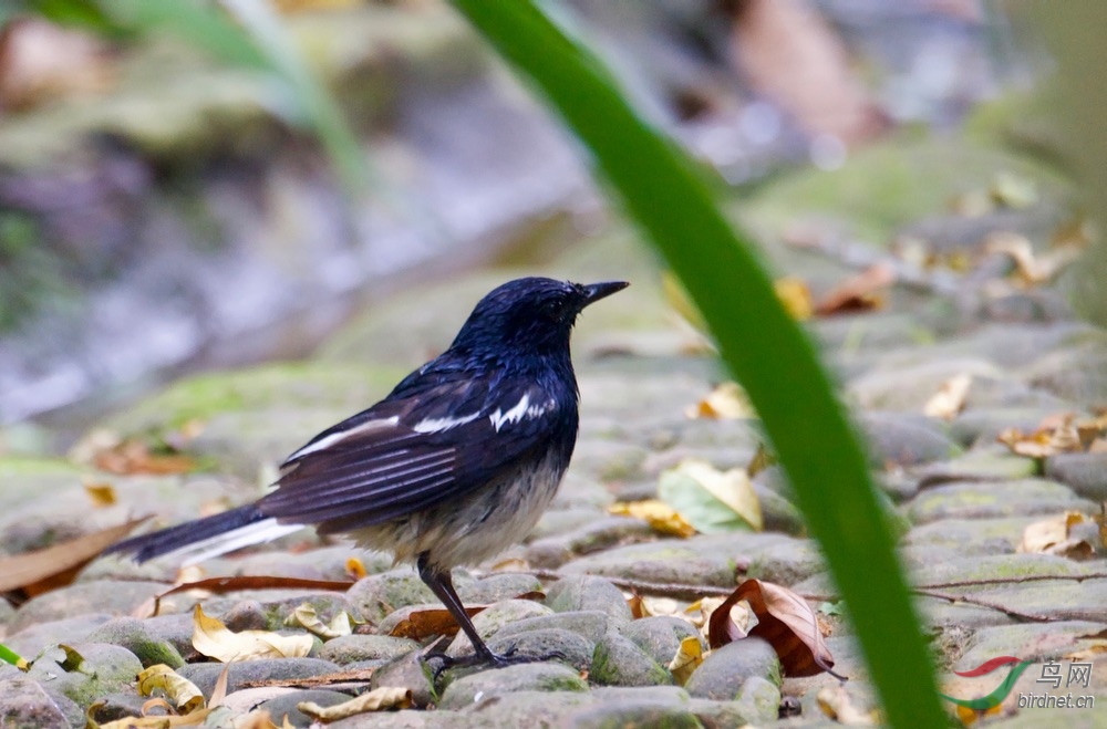 FullSizeRender (12).jpeg