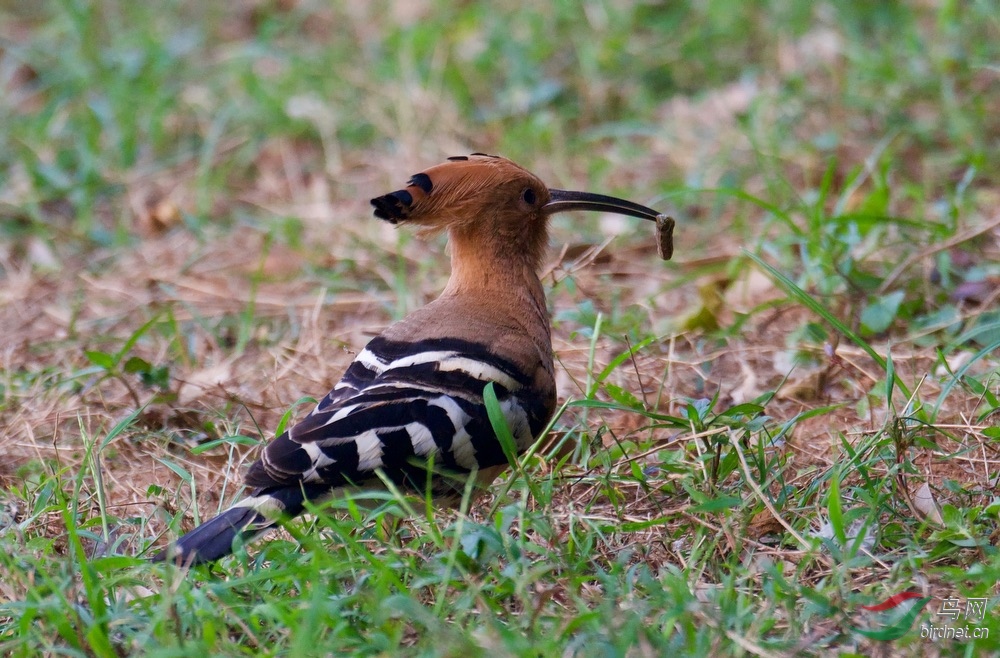 FullSizeRender (10).jpeg