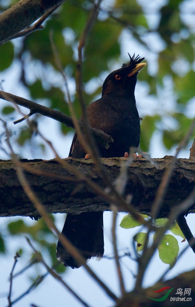 FullSizeRender (1).jpeg