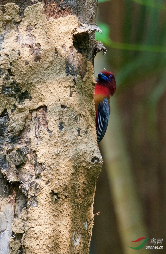 FullSizeRender (2).jpeg