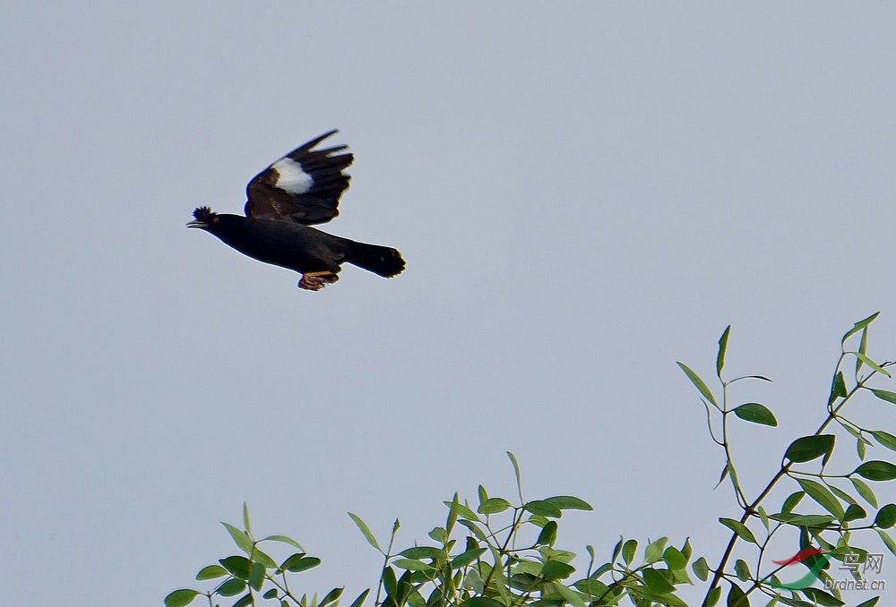 FullSizeRender (7).jpeg