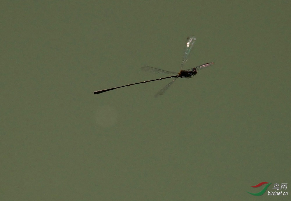 FullSizeRender (20).jpeg