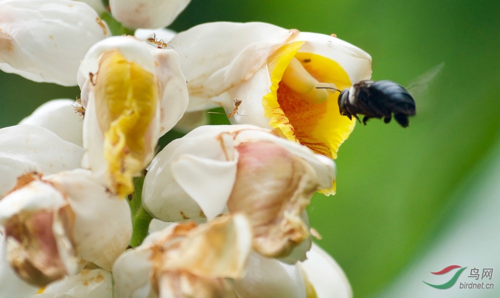 FullSizeRender (24).jpeg