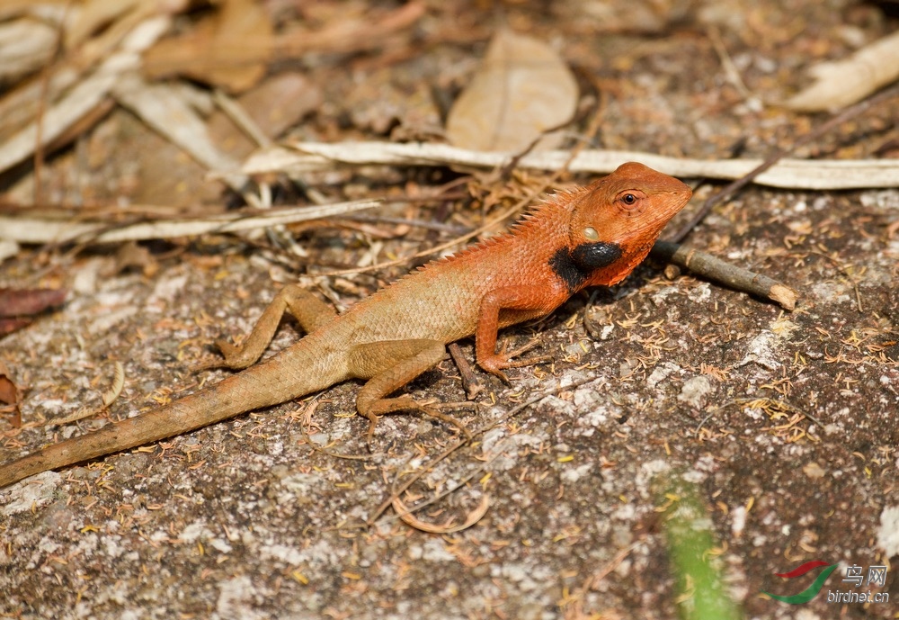 FullSizeRender (27).jpeg