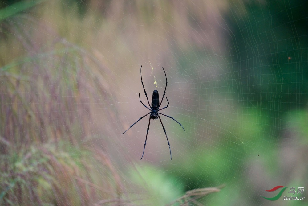 FullSizeRender (19).jpeg