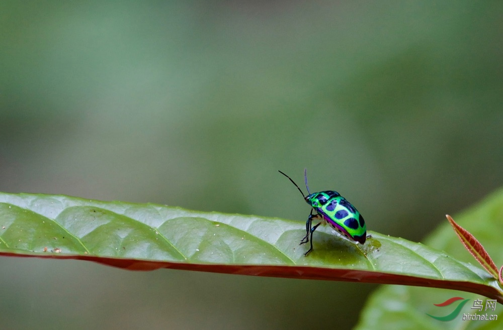 FullSizeRender (13).jpeg