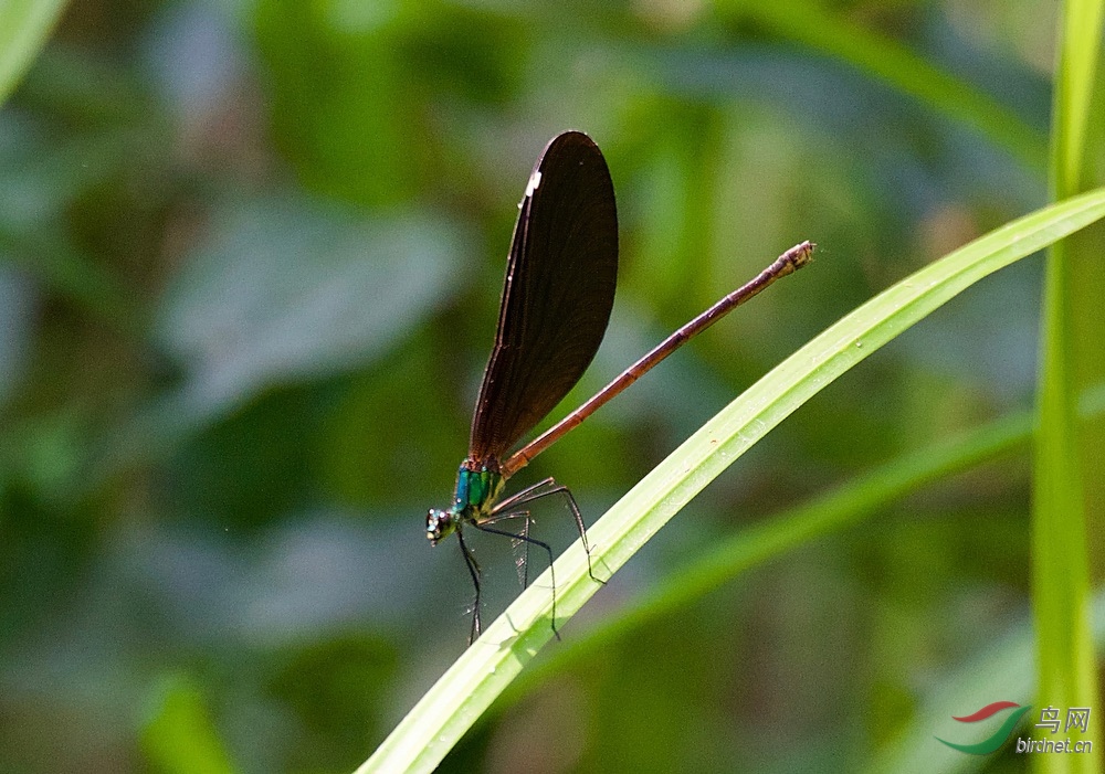 FullSizeRender (21).jpeg