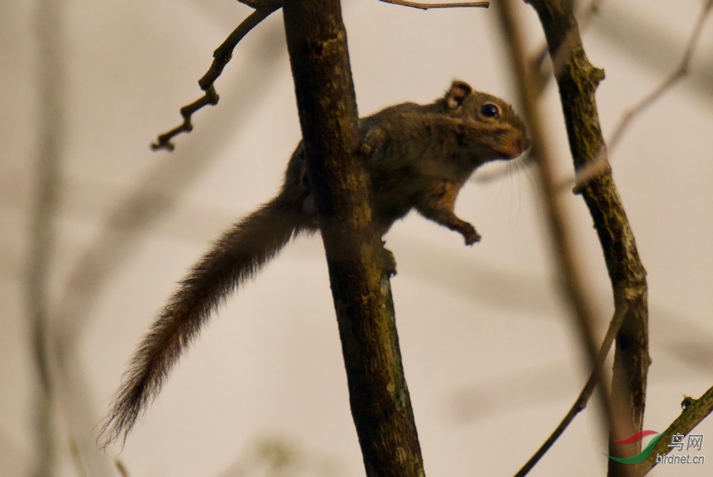 FullSizeRender (5).jpeg