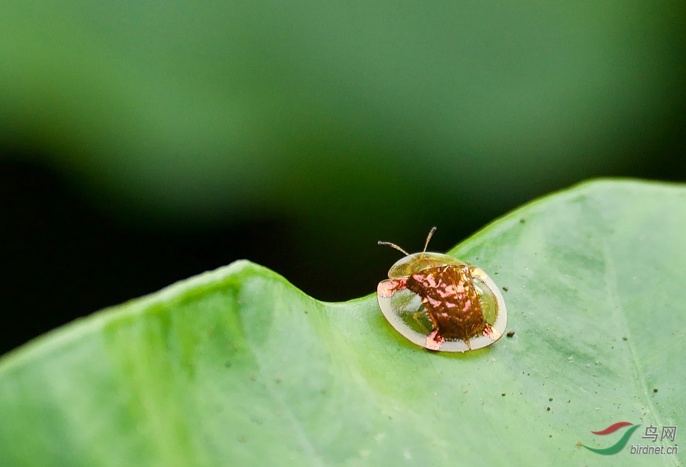 FullSizeRender (8).jpeg