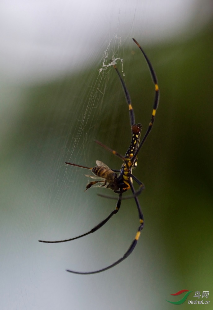 FullSizeRender (11).jpeg